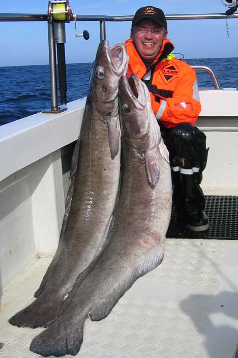 fisk